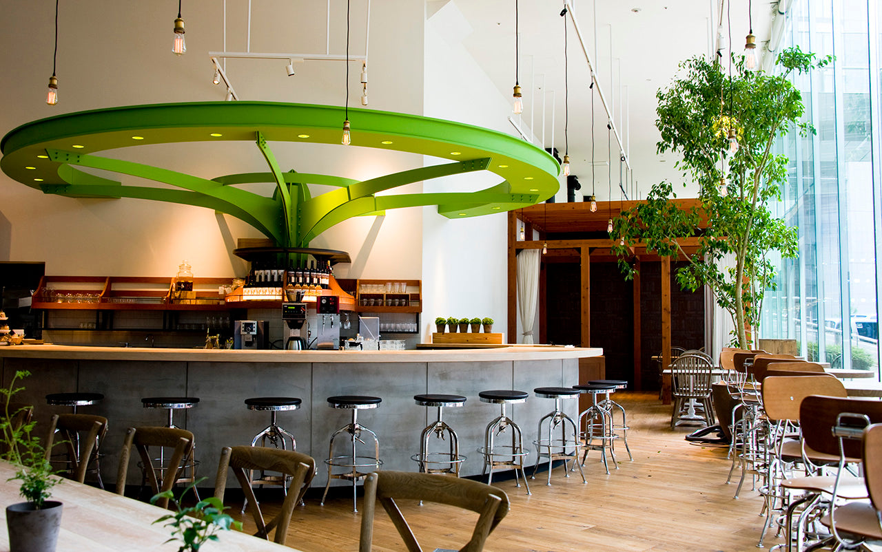 『CHAYA Macrobi』とコラボ!