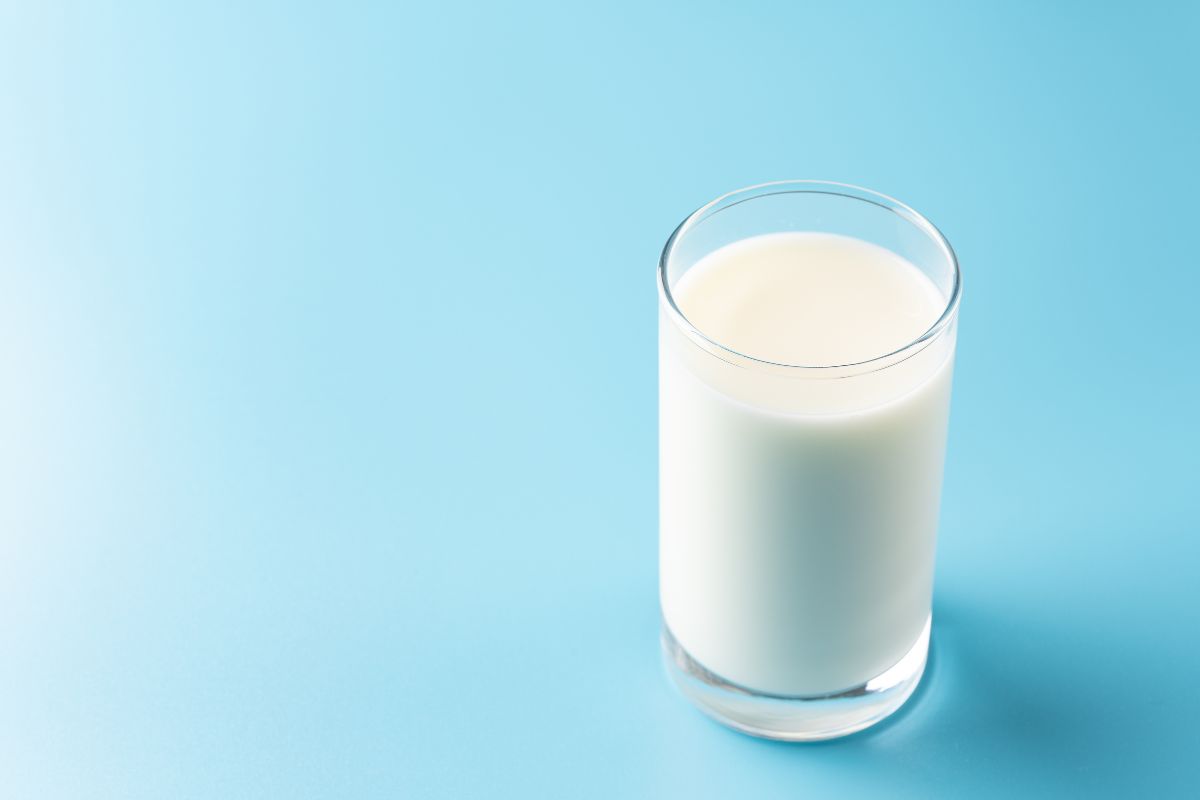 乳酸菌飲料の効果を比較!おすすめの飲み物と失敗しない選び方を紹介