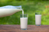 牛乳を飲み過ぎるとどうなる?1日の摂取目安量と代替ミルクのススメ
