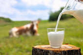 牛乳のデメリットとは?【牛乳が不得意な人は植物性ミルクがおすすめ】