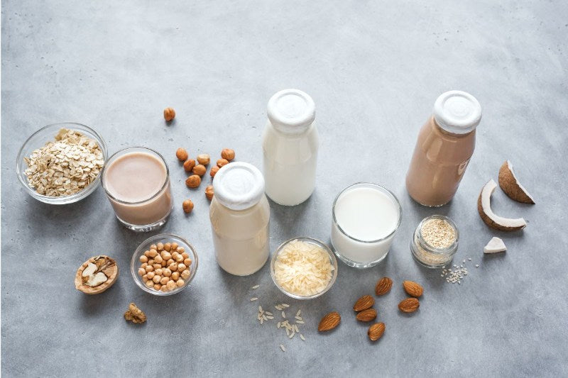 植物性ミルクとは?【5つの代替ミルクの栄養素を比較・選び方も紹介】