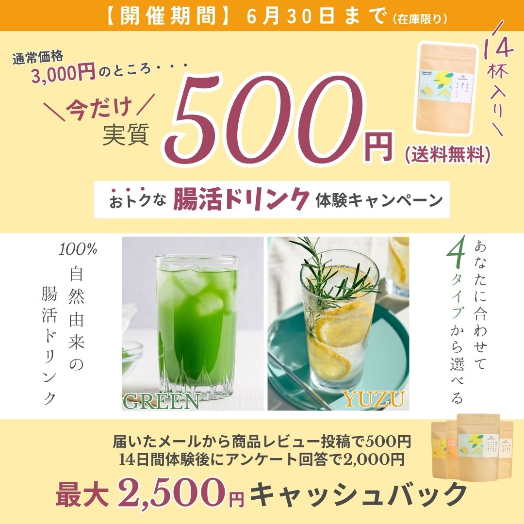 踏ん張る力が欲しいあなたの<br>おなか想うスムージー 04